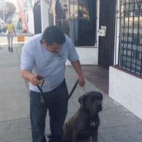 willies grooming & pet shop