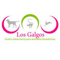 Photo taken at Clínica Veterinaria Los Galgos by Yext Y. on 1/29/2020