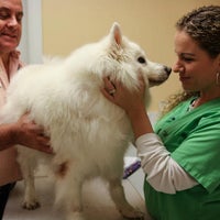 8/31/2017にYext Y.がCalusa Veterinary Centerで撮った写真