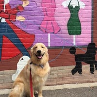 twickenton dog & cat grooming