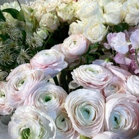 Winston Flowers 31 Central St