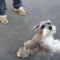 willies grooming & pet shop