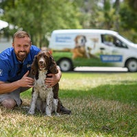 invisible fence timonium