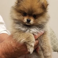 Garden State Animal Hospital Veterinarian In Cherry Hill