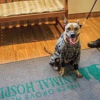 Inver Grove Heights Animal Hospital - 4 tips from 131 visitors