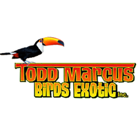 Photo taken at Todd Marcus Birds Exotic by Yext Y. on 1/31/2019
