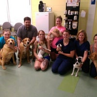 Hope Crossing Animal Hospital - Pittsboro, NC