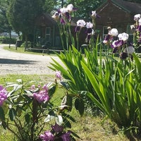 Pine Crest Motel Cabins Barton Vt
