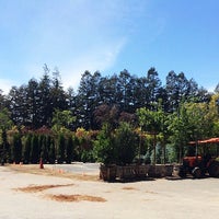 Central Whole Nursery 3 Tips From 78 Visitors Photo Taken At Central Whole Nursery By Yext Y On 5 31 2017