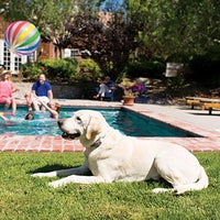 invisible fence timonium