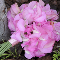 Das Foto wurde bei Andreas Zweerus von Yext Y. am 10/28/2020 aufgenommen