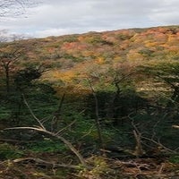 Lw Tree Service Inc Hurley Ny