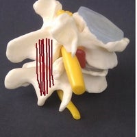 Снимок сделан в Spine Plus Chigwell - Osteopathy &amp;amp; Physiotherapy пользователем Yext Y. 8/20/2016