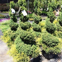 Central Whole Nursery 3 Tips From 78 Visitors Photo Taken At Central Whole Nursery By Yext Y On 5 31 2017