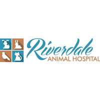 Riverdale Animal Hospital - Kingsbridge - Bronx, NY
