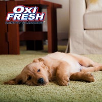 Oxi Fresh Carpet Cleaning North Village Columbia Mo