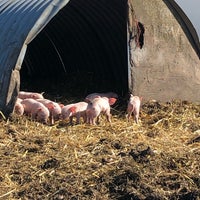 photos at white row farm shop farmers market in beckington photos at white row farm shop farmers market in beckington