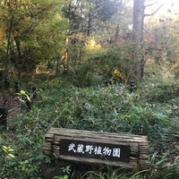 Photo taken at 武蔵野植物園 by Creig on 11/29/2019