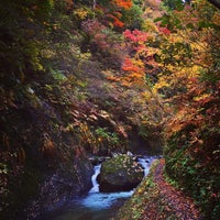 紅葉川渓谷 1 Tip From 21 Visitors 紅葉川渓谷 1 Tip From 21 Visitors
