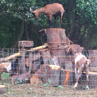 12/11/2017 tarihinde The Goat Cottageziyaretçi tarafından The Goat Cottage'de çekilen fotoğraf