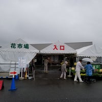 花市場 4 Tips De 1002 Visitantes 花市場 4 Tips De 1002 Visitantes