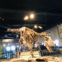 Photo taken at Hall Of Dinosaurs by Sarah F. on 3/23/2019