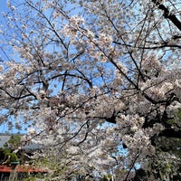 Photo taken at Ueno Park by Perspect!ve on 3/28/2021
