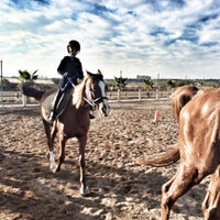 11/9/2014にHasan Y.がAntalya Horse Clubで撮った写真