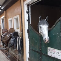 Photo taken at International K-9 &amp;amp; Horse Club by Zehra K. on 8/13/2023