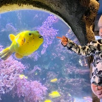 Photo taken at Sea Life by Lassi K. on 10/18/2022