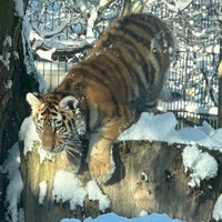 Photo taken at Korkeasaari Zoo by Lassi K. on 2/11/2023