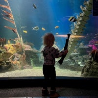 Photo taken at Sea Life by Lassi K. on 10/5/2022