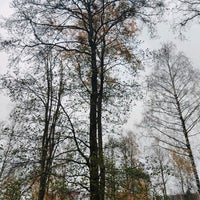 Photo taken at Veneentekijänpuisto by Ville V. on 10/26/2021