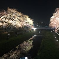 Photo taken at 野川桜ライトアップ by せきち on 4/4/2019