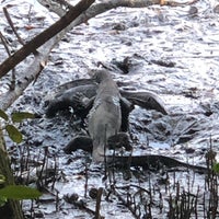 Photo taken at Sungei Buloh Wetland Reserve by Chialin A. on 1/24/2022