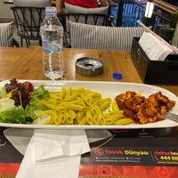 Tavuk Dunyasi Mardin Mardin Tavuk Dunyasi Mardin Mardin