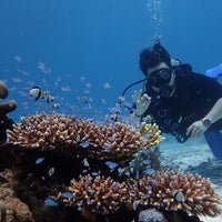 Foto scattata a Thailand Divers - Phuket. da Thailand Divers - Phuket. il 5/12/2024