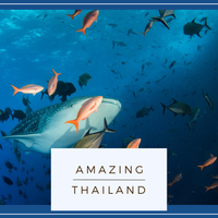 Foto tirada no(a) Thailand Divers - Phuket. por Thailand Divers - Phuket. em 5/11/2022