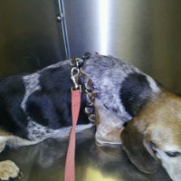 Photo taken at North Loop Pet Clinic by Monica M. on 5/16/2012