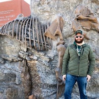 Photo prise au Gray Fossil Museum par Kurt G. le12/26/2018