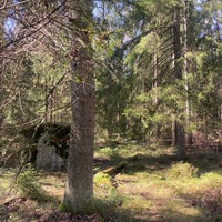 Photo taken at Haltialan aarnimetsäalue by Salla T. on 4/11/2021