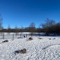 Photo taken at Pornaistenniemen koira-aitaus by Salla T. on 2/27/2021