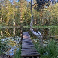 Photo taken at Kruunuvuorenlampi by Salla T. on 7/25/2021