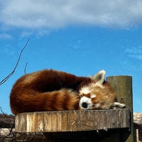 1/3/2024 tarihinde Robin D.ziyaretçi tarafından Elmwood Park Zoo'de çekilen fotoğraf