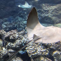 Photo taken at Henry Doorly Zoo and Aquarium by John on 4/7/2024