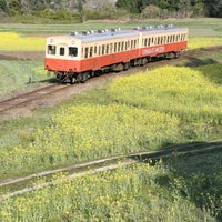 石神の菜の花畑 市原市 Da Diger Acik Alanlar 石神の菜の花畑 市原市 Da Diger Acik Alanlar