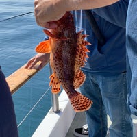 Photo taken at Davey&amp;#39;s Locker Sport Fishing &amp;amp; Whale Watching by Gep P. on 5/24/2019