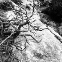 Photo taken at Natural Bridges National Monument by Ayers R. on 9/1/2015