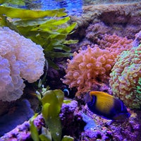 Photo taken at Aquarium du Grand Lyon by Barış T. on 7/4/2023