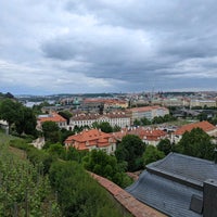5/27/2022 tarihinde Tommy D.ziyaretçi tarafından Svatováclavská vinice'de çekilen fotoğraf